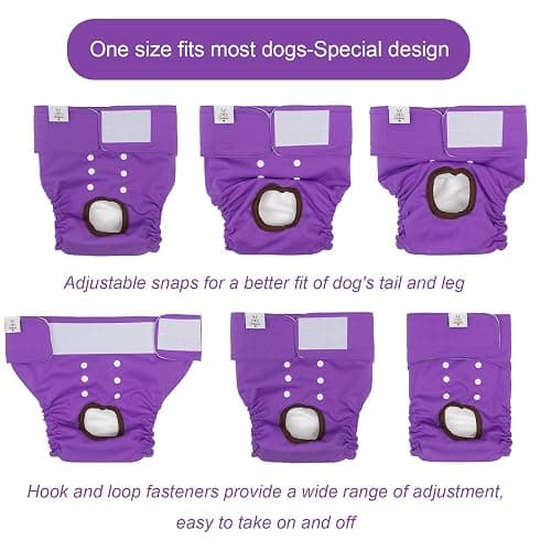 CuteBone Dog Diapers Female Washable Small Medium Large 3 Pack Reusable Doggie Diapers Puppy Period Pants for Doggy Heat Cycle Peeing thumbnail 6