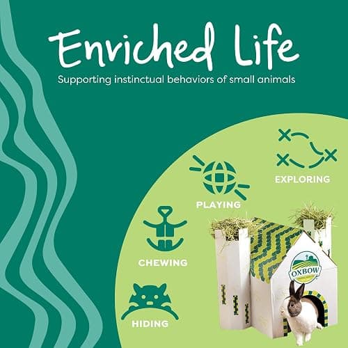 Oxbow Enriched Life Timothy Popsicle, Rabbit Toys, Guinea Pig Toys, Enrichment for Bunny, Guinea Pig, Hamster Stuff, Rabbit, Chinchilla, Made with Timothy Hay, Chinchilla Cage Accessories thumbnail 7