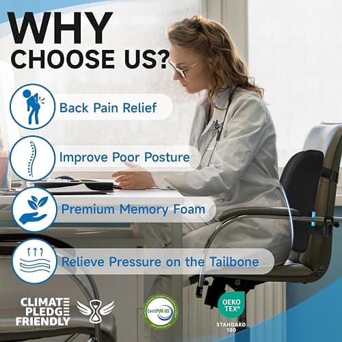 Lumbar Support Pillow for Office Chair, College Dorm Room Essentials, Memory Foam, Lower Back Support for Car, Back Pain Relief, Back Cushion for Chair with Adjustable Strap and Mesh Washable Cover thumbnail 5