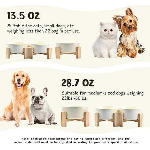 SPUNKYJUNKY 15° Slanted Ceramic Dog Bowl with Elevated Bamboo Stand - Tilted Pet Feeder for French Bulldog Pugs No Slip Anti-Vomiting for Cat Small Dog Flat Face Pets 13.5 OZ (1.7 Cups, Beige × 2) thumbnail 6