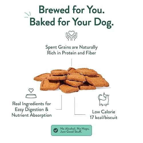 Portland Pet Food Company Bacon Brew Biscuits – Crunchy Limited Ingredient Dog Treats Made with Upcycled Spent Grain, Protein & Fiber Rich Training Treats for Dogs, USA Made, 1 Pack (5 oz Bag) thumbnail 5