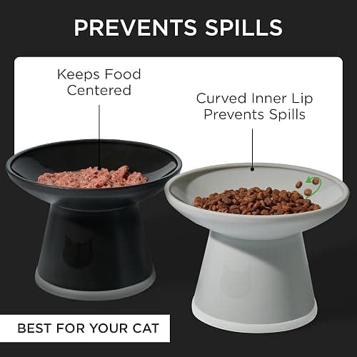 Necoichi BPA-Free Extra-Wide Elevated Cat Food Bowls, 2-Pack (Urban Fog) thumbnail 4
