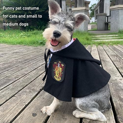 ANIAC 3PCS Halloween Dog Costume Cat Wizard Cape Glasses and Necktie Set Halloween Puppy Outfit Pet Academy Academy Magician Cosplay Apparel for Kitten Cat Small Dogs (Black+Red, Medium) thumbnail 2