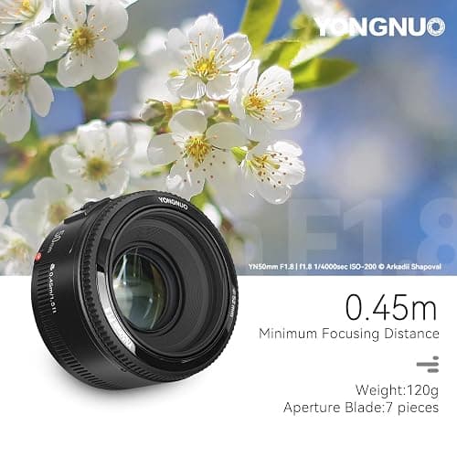 YONGNUO YN50mm F1.8 Lens Large Aperture Auto Focus Lens Compatible with Canon EF Mount EOS Camera thumbnail 3