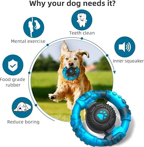 Pamlulu Chew Toys for Medium Large Breed, Tough Dog Toys for Aggressive Chewers, Indestructible Dog Toys to Keep Them Busy, Outdoor Puppy Toys,Birthday thumbnail 5