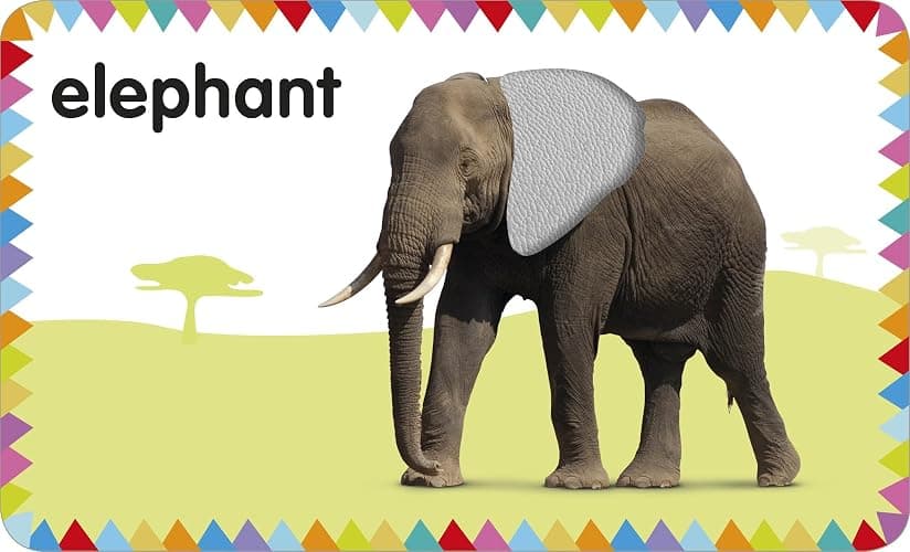 My First Touch and Feel Picture Cards: Animals (My First Board Books) thumbnail 6
