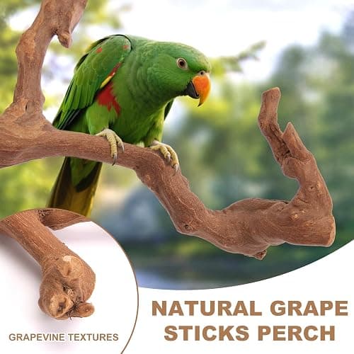 Parrot Perch Bird Perch Stand Set Natural Wild Wood Grape Sticks Paw Grinding Fork Parakeet Climbing Standing Branches Toys Cage Accessories for Conure,Cockatiels Lovebirds,Budgies Chewable 6PC thumbnail 3