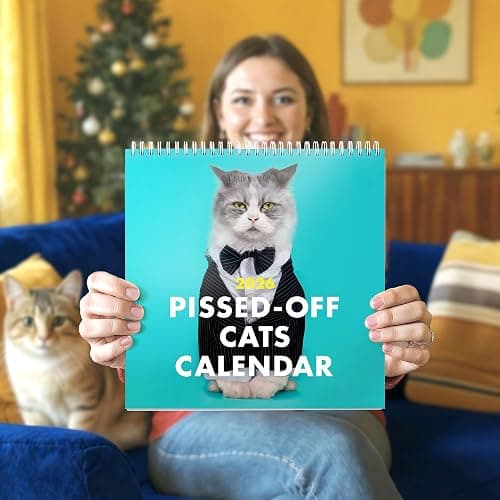The Original P'd Off Cats 2026 Calendar - Funny, Sassy Gift for Angry Cat Lovers - 12 Month Wall Planner for Joke Present thumbnail 2