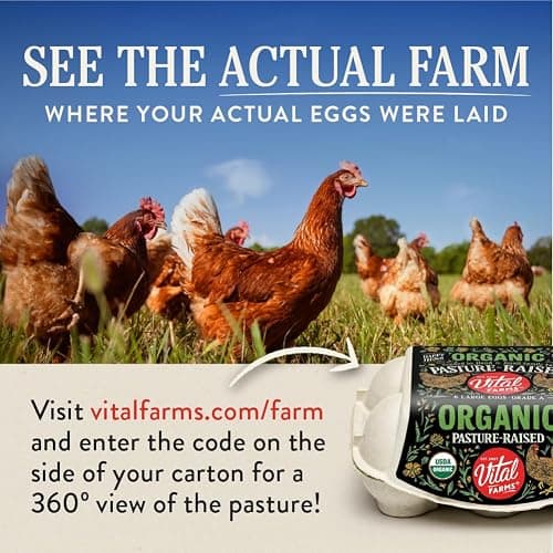 Vital Farms Organic Pasture-Raised Large Eggs 12ct thumbnail 3