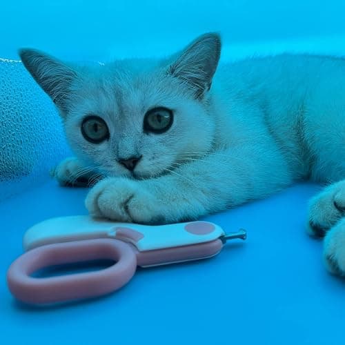 Small Animals Nail Clippers with LED Lights to Avoid Excessive Cutting and Sharp Blades - Professional Claw Trimmer for Tiny Dog Cat Kitten Bunny Rabbit Bird Guinea Pigs Ferret Hamsters (Blue) thumbnail 6