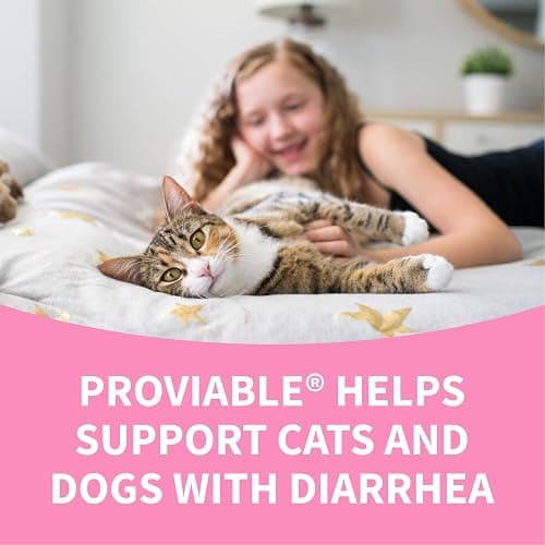 Nutramax Proviable Probiotics + Prebiotics, for Dogs & Cats, Capsules, 80ct | Probiotics and Prebiotics for Cats and Dogs, Daily Gut Health Support Supplement, Multiple Strains, Sprinkle on Food thumbnail 8