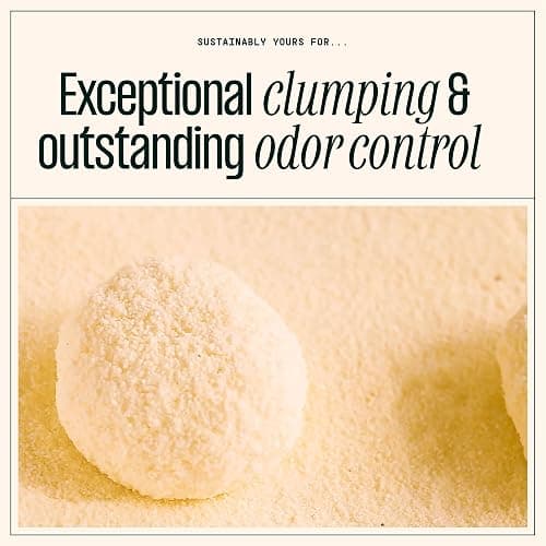 Sustainably Yours Cat Litter, Mixed-Grain Formula 10 lbs thumbnail 3