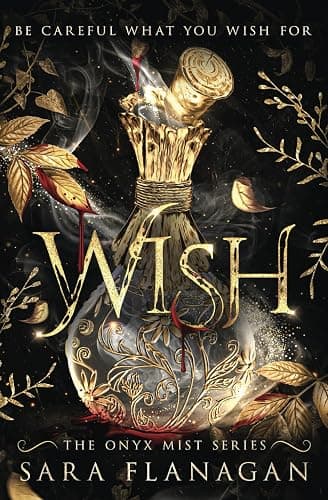 Wish (The Onyx Mist Series Book 1): A Dark Fantasy Romance Series - Image 1