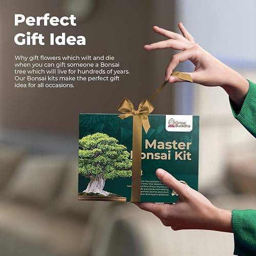 Master Bonsai Kit - Grow Buddha Bonsai Tree Growing Kit - Professional Growing and Styling Bonsai Set - Japanese Bonsai - Become Bonsai Master - Ideal Bonsai Tree Seed Kit for Indoor Garden Gardening thumbnail 5