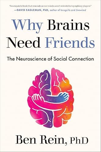 Why Brains Need Friends: The Neuroscience of Social Connection - Image 1