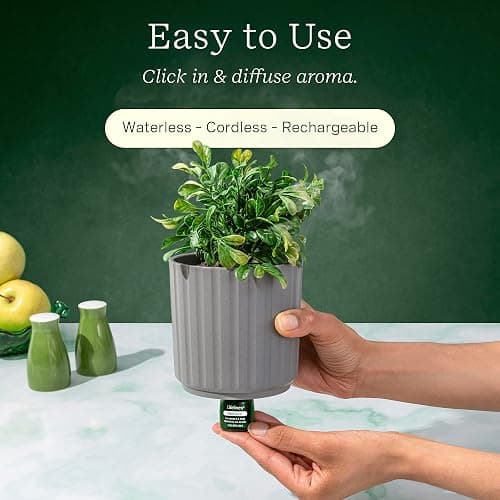 Lifelines Plant Diffuser with Modern Planter, Boxwood - Rechargeable Aromatherapy Diffuser, Artificial Faux Plants Home & Office - ClickWick Essential Oil Blend Included thumbnail 3