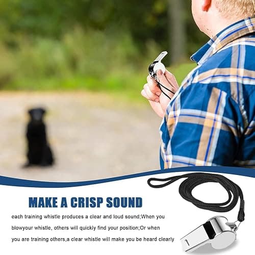 Tiankohelan Whistle for Coaches,Whistle with Lanyard for Coaches Teachers Referees Emergency Outdoor Sports(3 Pcs Loud Stainless Steel) thumbnail 2
