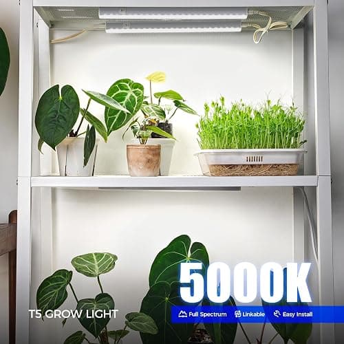 Barrina Grow Lights for Indoor Plants, 1ft Plant Lights for Indoor Growing, 5000K White Full Spectrum Grow Light, Individual Switch, T5 Grow Light Strip, Plug and Play, 8-Pack thumbnail 2