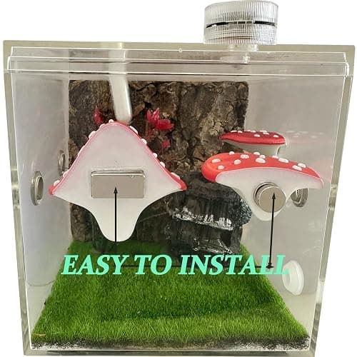 Okueejur Jumping Spider Accessories Kit – 6 Pcs Set with Mushroom Platforms, Magnetic Feeder Dish, and 2 Spider Webs (Pink & White) for Climbing, Feeding, and Decorating thumbnail 4