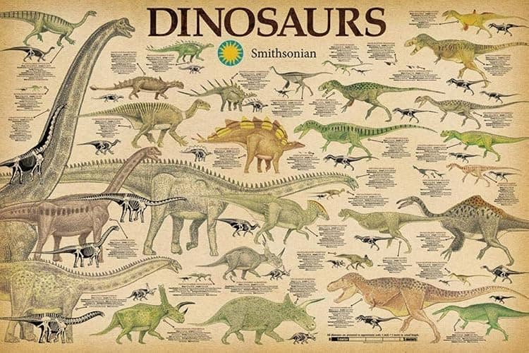 Studio B Laminated Smithsonian- Dinosaurs Info Chart Poster 36 x 24in - Image 1