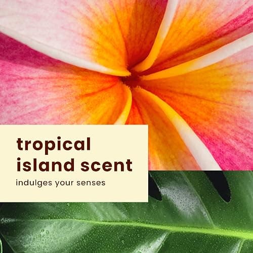 Hawaiian Tropic SPF 30 Broad Spectrum Sunscreen and After Sun Pack with 8oz Sheer Touch Moisturizing Sunscreen Lotion and 6oz Silk Hydration Weightless After Sun Lotion thumbnail 7