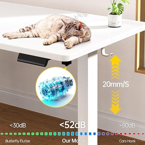 Veken 63x27.6 Inch Large Electric Standing Desk, Heights Adjustable,Sit to Stand Up, Work Home Office Computer Table for Walking Pad, Gifts for Dad, Wooden Desktop Desks, White thumbnail 6