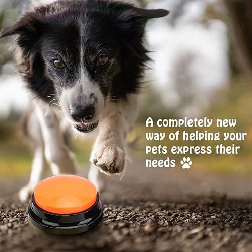FINEST+ Voice Recording Button for Communication Pet Training Buzzer,30 Second Record&Playback Dog Toy,Voice Recording Clicker for Cat,Puppy,Pet Trainin,Funny Gift for Study Office Home 8Pcs thumbnail 7