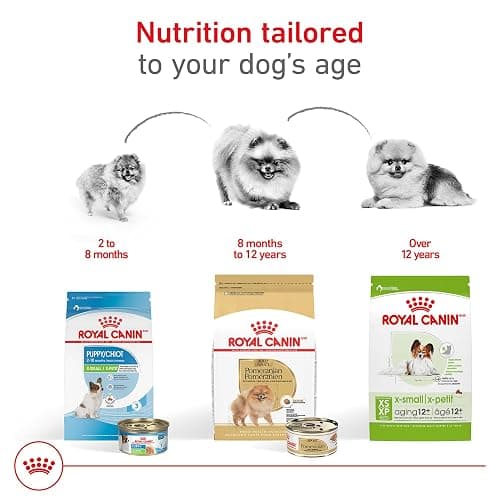 Royal Canin Pomeranian Adult Wet Dog Food, 3 oz, 6-Pack | Skin & Coat Support with EPA & DHA, Bone & Joint Support, For Adult Pomeranians, Loaf in Sauce, Developed by Veterinarians thumbnail 6