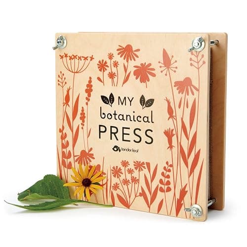 Tender Leaf Toys - My Botanical Press - 8.3 x 8.3 Inch 10 Layers Flower Press, DIY Dried and Preserved Flowers and Leaves, Plants Art & Crafts kit - Age 3+ thumbnail 2