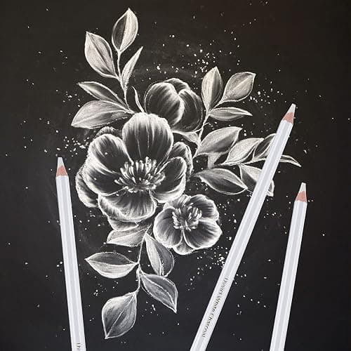 Dyvicl White Charcoal Pencils Drawing Set, 6 Pcs Sketch Highlight Pencil Hard Charcoal White Pencils for Drawing, Sketching, Shading, Blending thumbnail 5