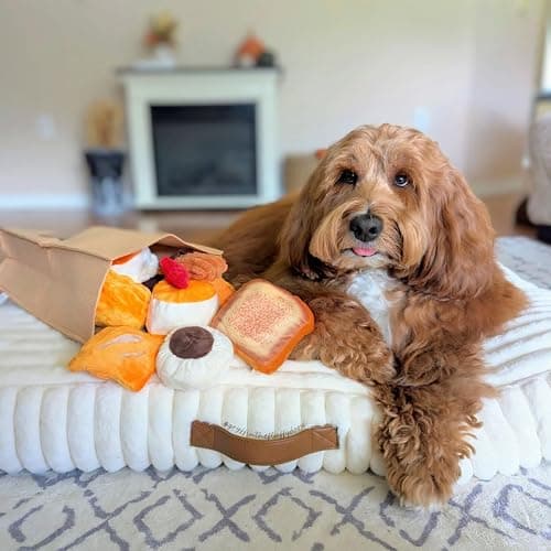 Nocciola 10 PC Dog Squeak Toys - Bread Puppy Toys with Grocery Bag to Keep Them Busy, Small Dog Toys for Boredom, Durable Snuffle Dog Toys for Small Medium Breeds Christmas Stocking Stuffers thumbnail 3