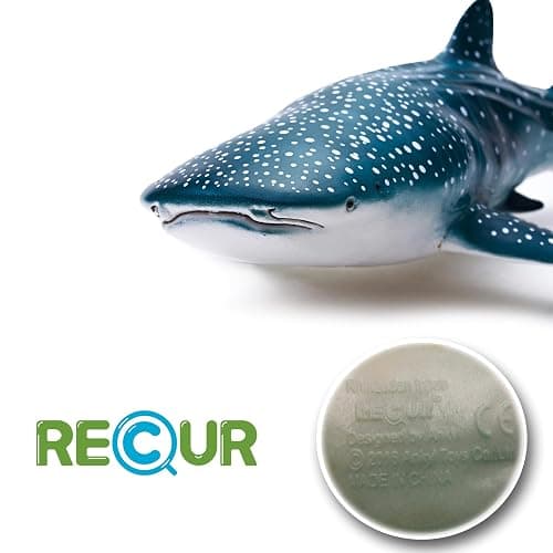 Gemini&Genius Sea Animal Whale Shark Action Figure Wild Model Toy Soft Rubber Realistic Ocean Educational and Role Play Toys for Kids thumbnail 5