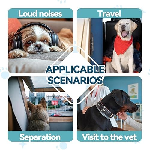 Melatonin for Pets, Dog Melatonin, Dog Sleep Supports, Liquid for Cats, Supports Relaxation Dogs & Cat, Calm Behavior in Dogs, Helps Restful Sleep, Chicken Flavor 60ml thumbnail 5