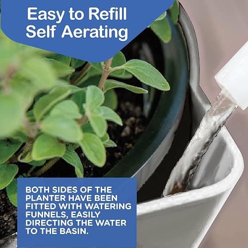 King's Gardening Clever Pot - Self Watering Pot for Indoor Outdoor Use, Animated Cloud Water Level Indicator, UV Resistant Planter, Ideal for Flowers, African Violets, and More 8" (Pearl Cloud) thumbnail 5
