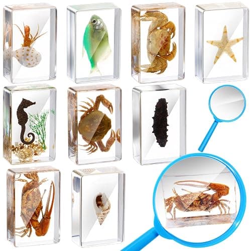 Rotatingpals 9 Pcs Marine Ocean Life Specimen Set Term Begins for Gifts Sea Animal Insect in Resin Collection Paperweights with Magnifier Animal Specimen - Image 1