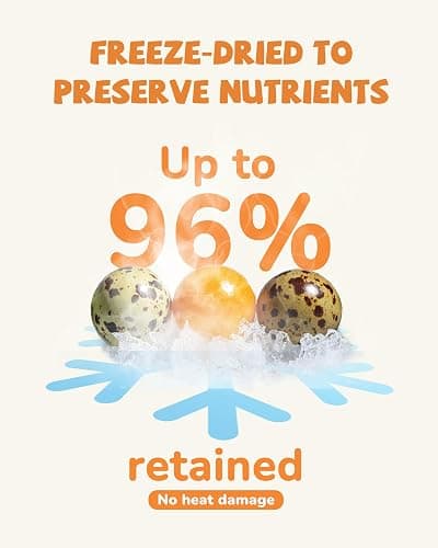PAWUP Freeze Dried Cat & Dog Treats, Natural Quail Egg Yolk, Single Ingredient, High-Protein Pet Snacks for Skin & Coat Health, No Artificial Additives, 9.2 oz | Cat Food Topper, Kitten Treats, Premium Quality Protein, Rawhide Free, Gluten&Grain Free thumbnail 3