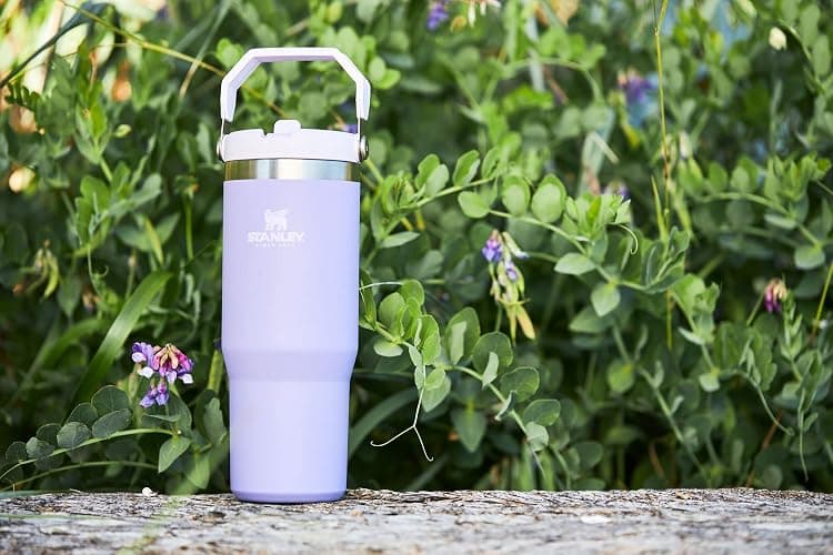 Stanley IceFlow Flip Straw Tumbler with Handle | Twist On Lid and Flip Up Straw | Leak Resistant Water Bottle | Insulated Stainless Steel | BPA-Free thumbnail 6
