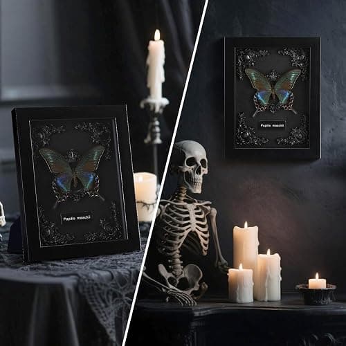 Real Framed Butterfly Taxidermy - Shadow Box, Real Framed Butterfly in a Box for Gothic Home Decor Aesthetic (B_Alpine Black Swallowtail Black Background #1) thumbnail 4