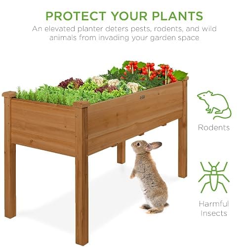 plant box ! thumbnail 7