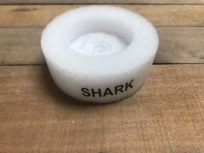 Real Shark in a Bottle Jar, Marine Specimen Taxidermy, Fishing, Jaws thumbnail 5