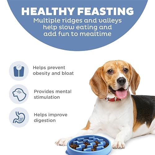 Outward Hound Medium Slow Feeder Bowl, Puzzle Maze for Fast Eaters, Small to Medium Dogs, Helps Prevent Bloat & Aid Digestion, Holds 2 Cups Wet or Dry Food, Non-Slip, Made Without BPA, Blue thumbnail 2