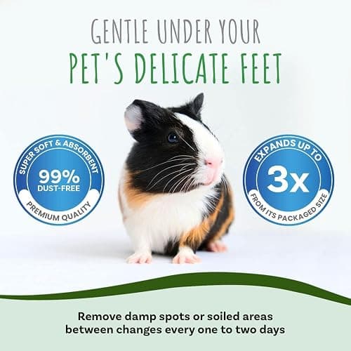 Small Pet Select White Paper Bedding, Guinea Pig, Odor Control, 56 L | Soft Absorbent Natural Bedding, Made in USA, For Rabbits, Hamsters, Bunnies, Chinchillas & Small Pets thumbnail 7