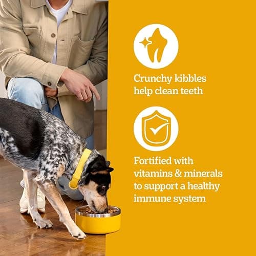 Pedigree Adult Dry Dog Food, Complete Nutrition, Grilled Steak & Vegetable Flavor, 18 lb. Bag thumbnail 6