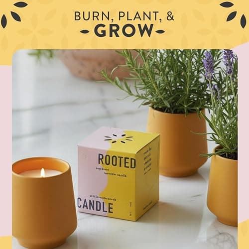 Modern Sprout Rooted Candle - 2 in 1 Scented Cedarwood 6 oz Christmas Soy Candle with Lavender Plant Seeds, 42 hr Burn Time in Matte Glaze Ceramic Vessel, Indoor Herb Garden Kit, Holiday Gift & Decor thumbnail 2