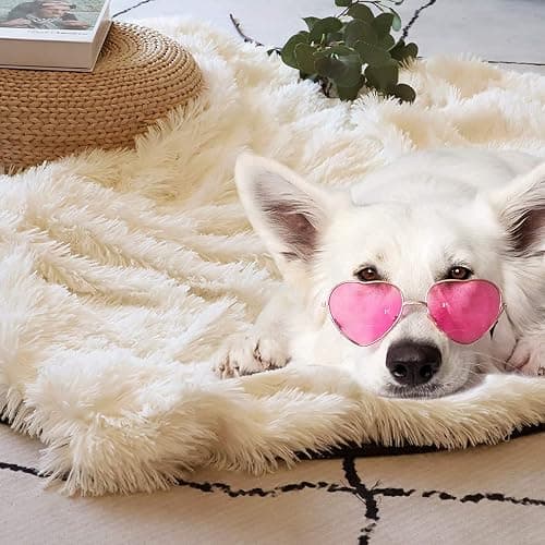 Tuddrom Decorative Extra Soft Fuzzy Faux Fur Throw Blanket 50" x 60",Solid Reversible Long Hair Shaggy Blanket,Fluffy Cozy Plush Comfy Microfiber Fleece Blankets for Couch Sofa Bedroom,Cream White thumbnail 7
