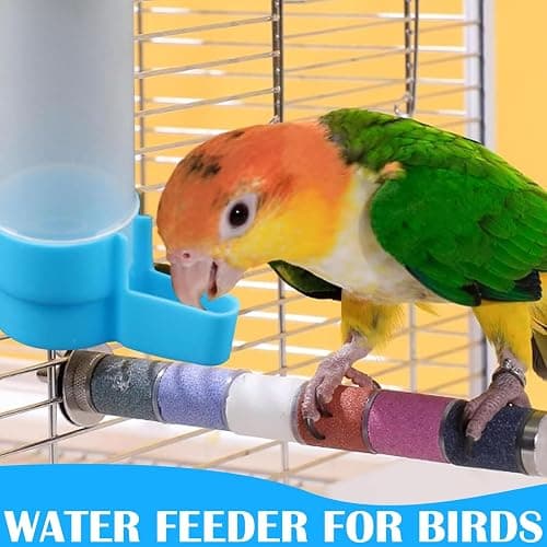 4 Pcs Bird Water Feeder, Budgie Water Dispenser, Budgie Water Feeder - 120ml PP Plastic Bird Waterers (2 Blue + 2 Green) for Cage Mounting, Small Parrot & Finch Hydration thumbnail 5