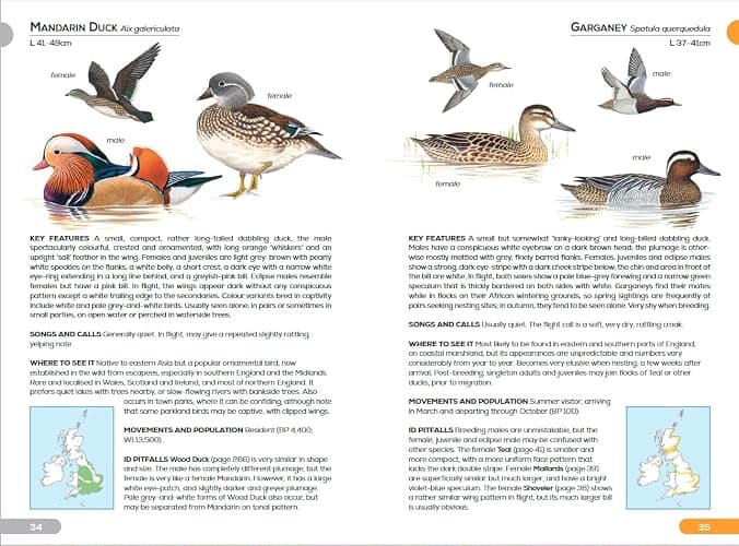 RSPB Pocket Guide to British Birds thumbnail 3