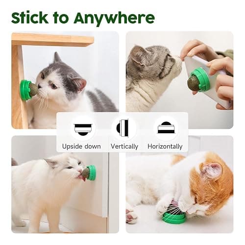 Potaroma Catnip Toys Balls 4 Pcs, Extra Cat Energy Ball, Edible Kitten Silvervine Toys for Cats Lick, Healthy Kitty Teeth Cleaning Dental Chew Toys, Cat Wall Treats (Green) thumbnail 6