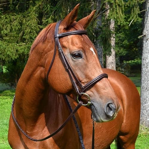 Country Pride English Leather Snaffle Bridle - Image 1