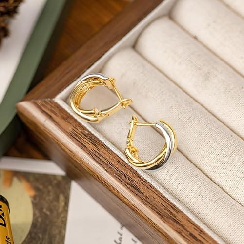 1Sets Mixed Metal Earrings,Two Tone Silver and Gold Hoop Earrings, Intertwining Small Circle Huggie Lightweight Twisted Hoop Earrings for Women Trendy thumbnail 5